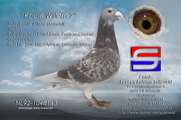 Rooie Willem 2